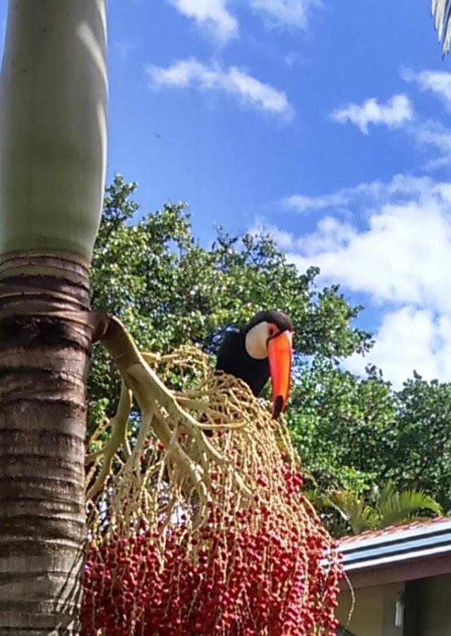 Pousada Dubaldo Holambra Ngoại thất bức ảnh